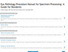 Tablet Screenshot of eyepath.medrounds.org